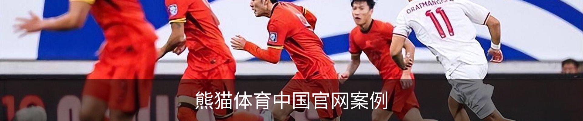 熊猫体育中国官网案例